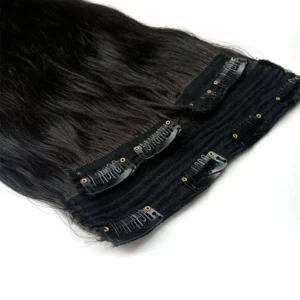 Clip In Hair